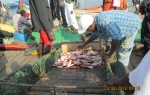 img_0678 img_0678
